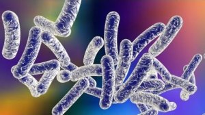 legionella control methods