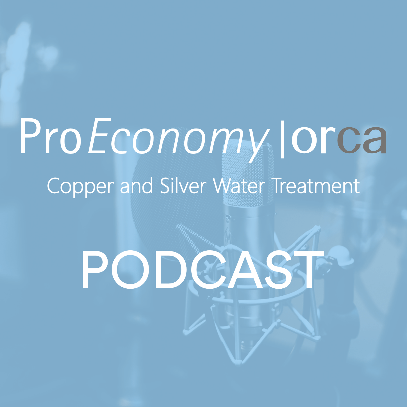 ProEconomy podcast