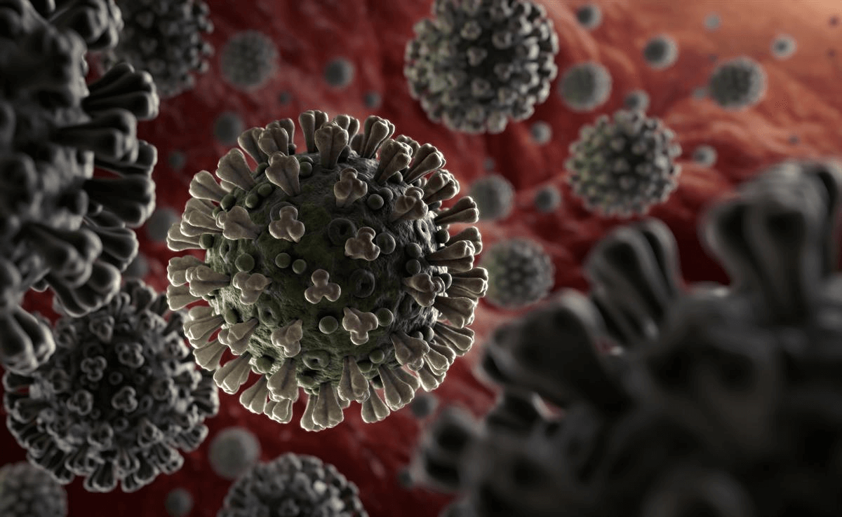 2019-nCoV (Coronovirus) Image source: WHO